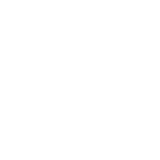 ICSV Logo